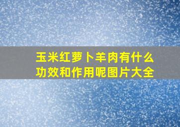 玉米红萝卜羊肉有什么功效和作用呢图片大全