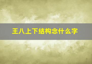 王八上下结构念什么字