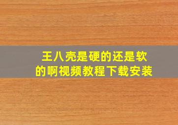 王八壳是硬的还是软的啊视频教程下载安装