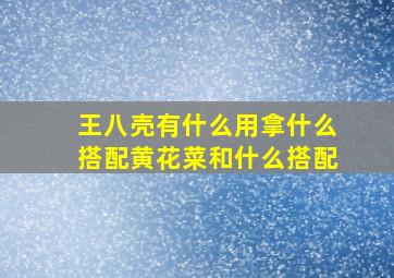 王八壳有什么用拿什么搭配黄花菜和什么搭配