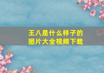 王八是什么样子的图片大全视频下载