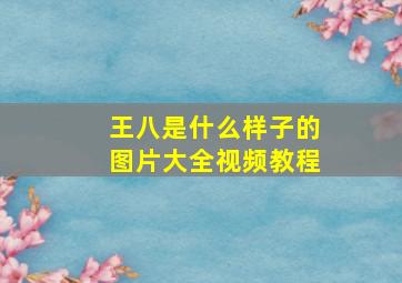 王八是什么样子的图片大全视频教程