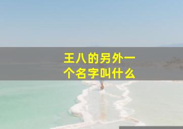 王八的另外一个名字叫什么