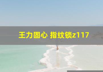 王力固心 指纹锁z117