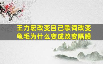 王力宏改变自己歌词改变龟毛为什么变成改变隔膜