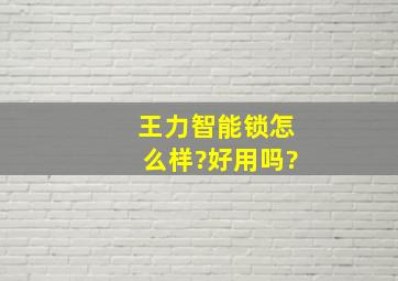 王力智能锁怎么样?好用吗?