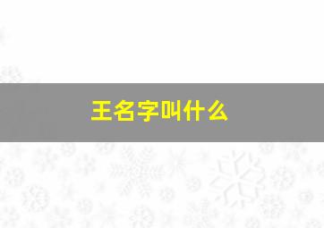 王名字叫什么