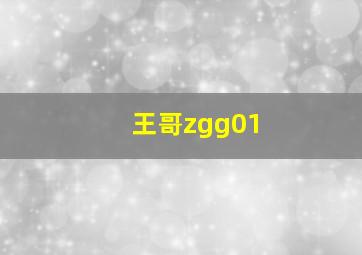 王哥zgg01