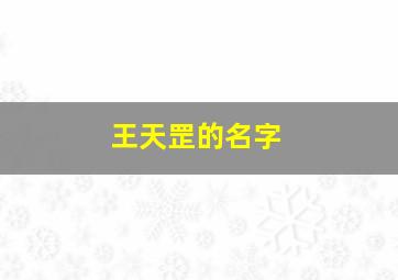 王天罡的名字