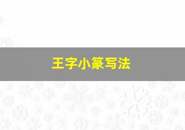 王字小篆写法