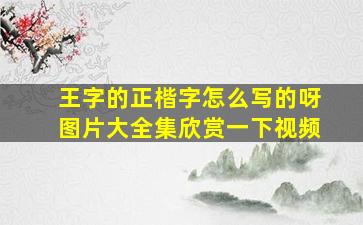 王字的正楷字怎么写的呀图片大全集欣赏一下视频