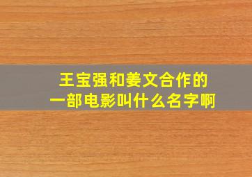 王宝强和姜文合作的一部电影叫什么名字啊