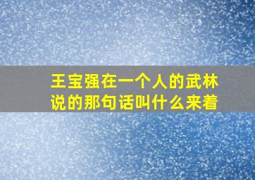 王宝强在一个人的武林说的那句话叫什么来着