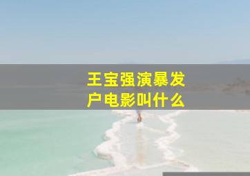 王宝强演暴发户电影叫什么