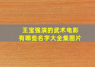 王宝强演的武术电影有哪些名字大全集图片