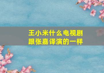 王小米什么电视剧跟张嘉译演的一样