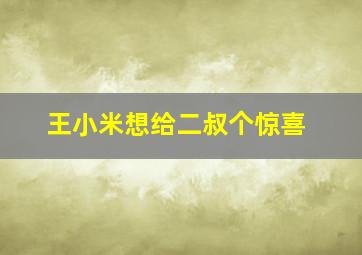 王小米想给二叔个惊喜