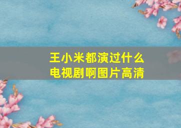 王小米都演过什么电视剧啊图片高清