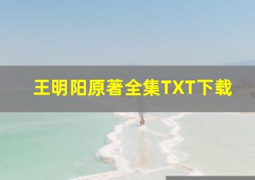 王明阳原著全集TXT下载