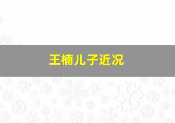 王楠儿子近况