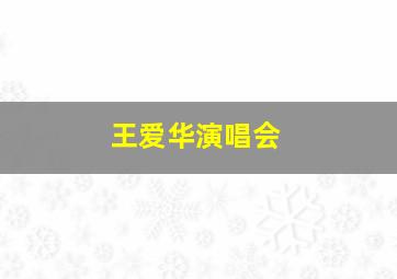 王爱华演唱会