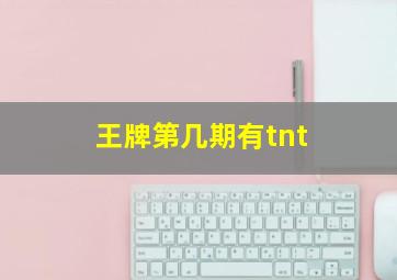 王牌第几期有tnt