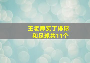 王老师买了排球和足球共11个