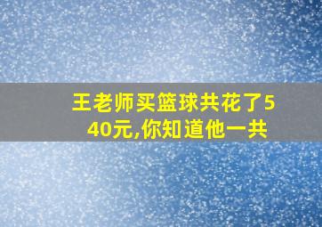 王老师买篮球共花了540元,你知道他一共