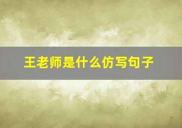 王老师是什么仿写句子