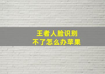 王者人脸识别不了怎么办苹果