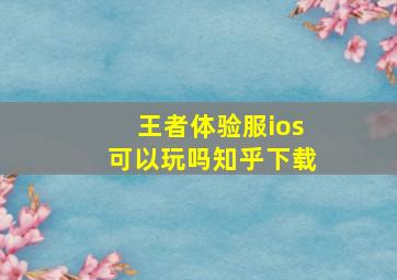 王者体验服ios可以玩吗知乎下载