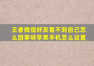 王者微信好友看不到自己怎么回事呀苹果手机怎么设置