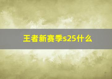 王者新赛季s25什么