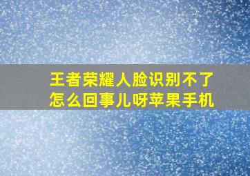 王者荣耀人脸识别不了怎么回事儿呀苹果手机