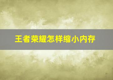 王者荣耀怎样缩小内存