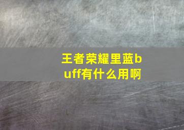 王者荣耀里蓝buff有什么用啊