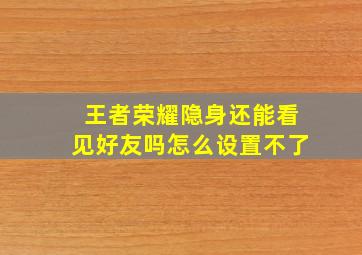 王者荣耀隐身还能看见好友吗怎么设置不了