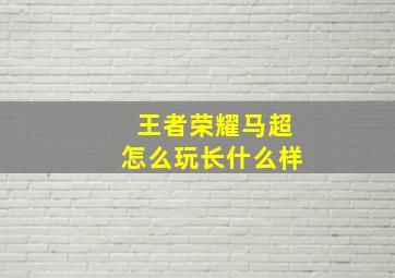 王者荣耀马超怎么玩长什么样