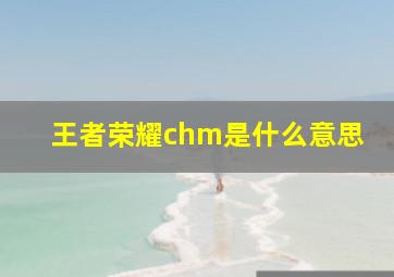 王者荣耀chm是什么意思