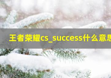 王者荣耀cs_success什么意思