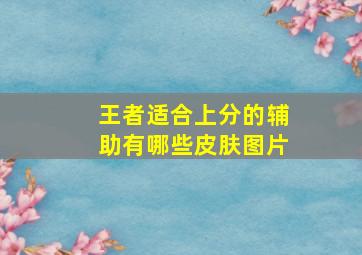 王者适合上分的辅助有哪些皮肤图片