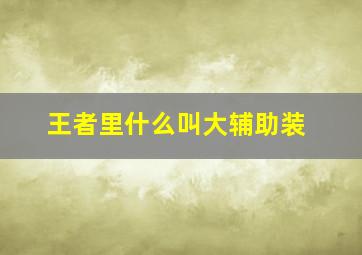 王者里什么叫大辅助装