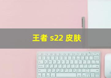 王者 s22 皮肤