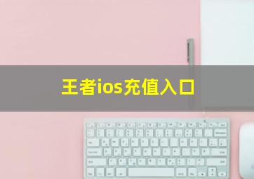 王者ios充值入口