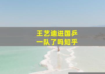 王艺迪进国乒一队了吗知乎