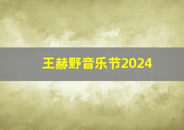 王赫野音乐节2024