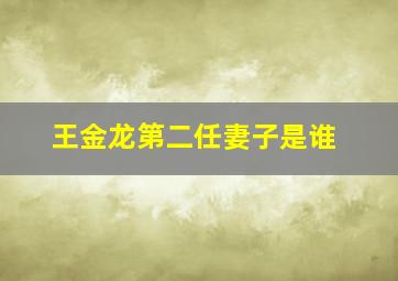 王金龙第二任妻子是谁