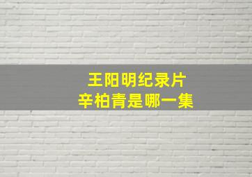 王阳明纪录片辛柏青是哪一集