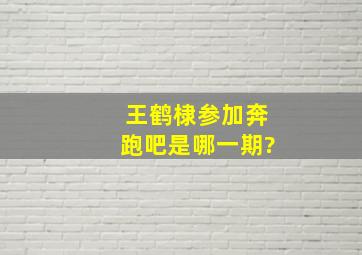 王鹤棣参加奔跑吧是哪一期?