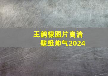 王鹤棣图片高清壁纸帅气2024